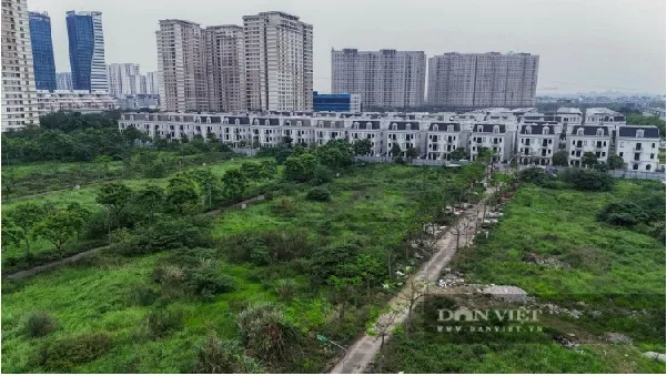 Tác động nào có thể đẩy giá nhà đất tăng cao?